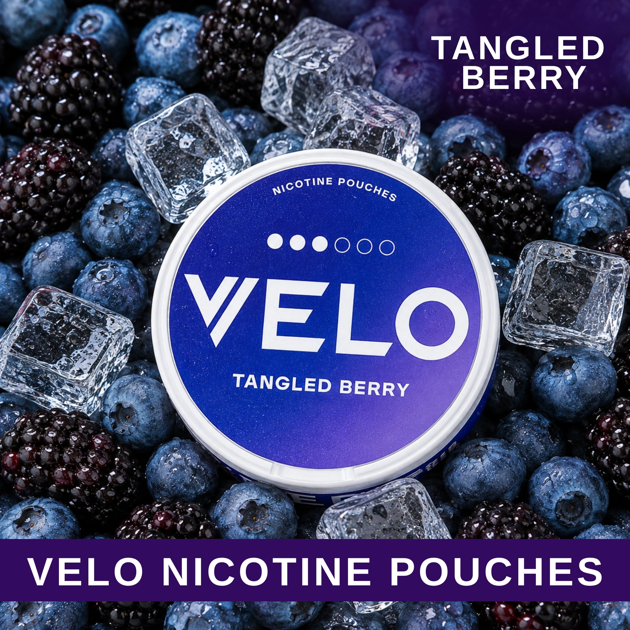 VELO Nicotine Pouches (20U) — Buy Vape Online India