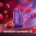 IGET Flare B10000 — Buy Vape Online India