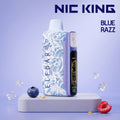 Elf Bar Nic King 30000 — Buy Vape Online India